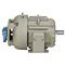 ASD Inverter Duty Motors