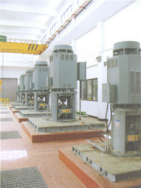 Vertical Motors