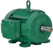 WEG AC Motor